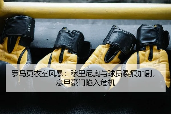 luo-ma-geng-yi-shi-feng-bao-mu-li-ni-ao-yu-qiu-yuan-lie-hen-jia-ju-yi-jia-hao-men-xian-ru-wei-ji-2-727.jpg